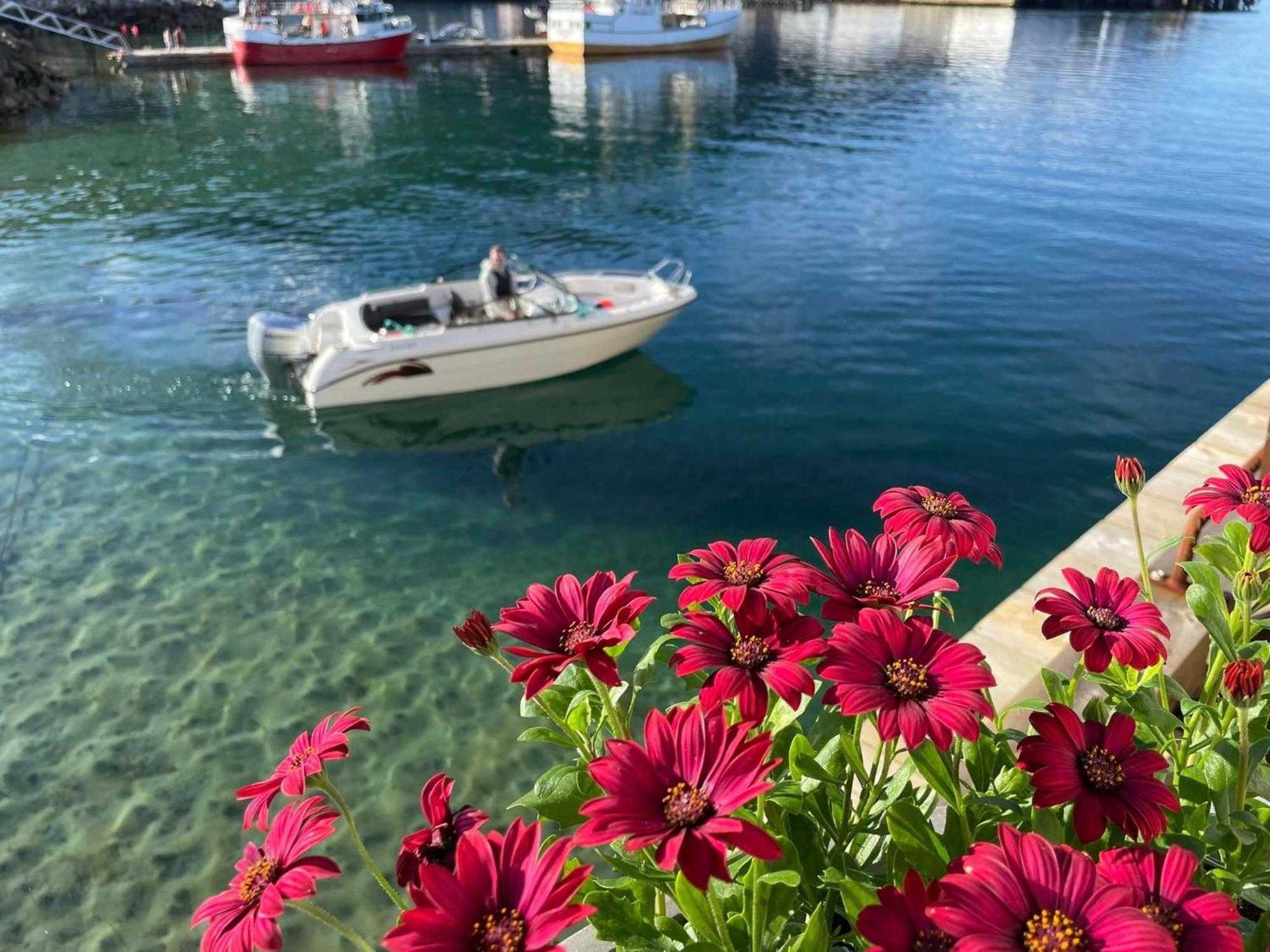 1. Etg I Dampskipsbrygga, Lodingen Havn Exteriér fotografie