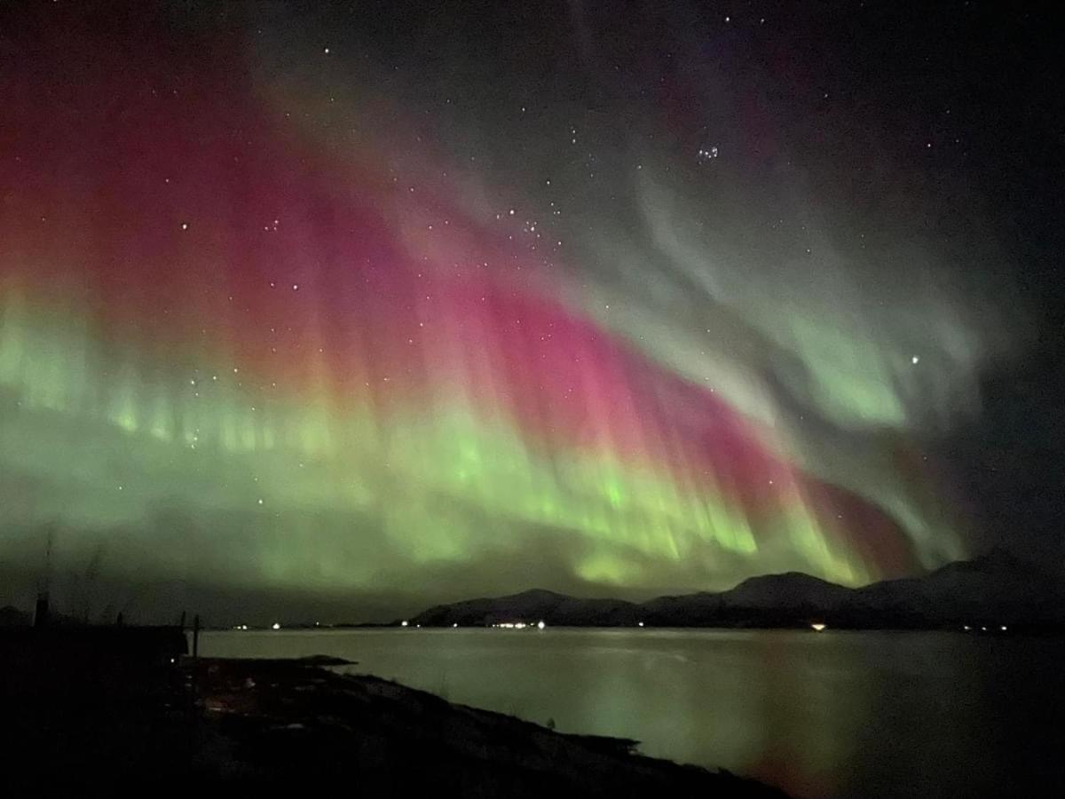 1. Etg I Dampskipsbrygga, Lodingen Havn Exteriér fotografie