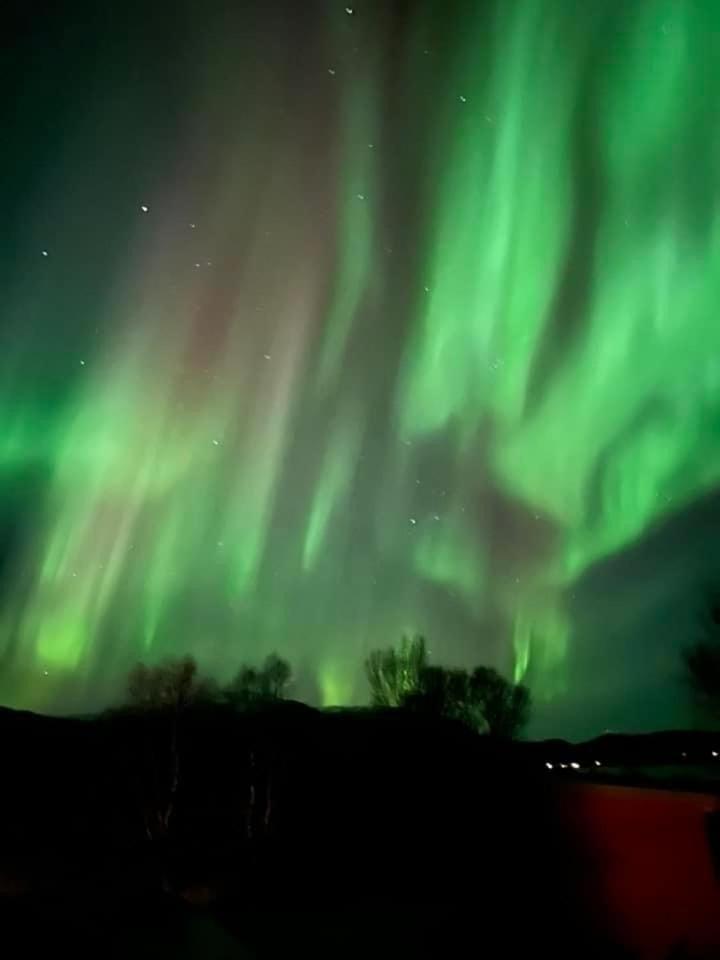 1. Etg I Dampskipsbrygga, Lodingen Havn Exteriér fotografie