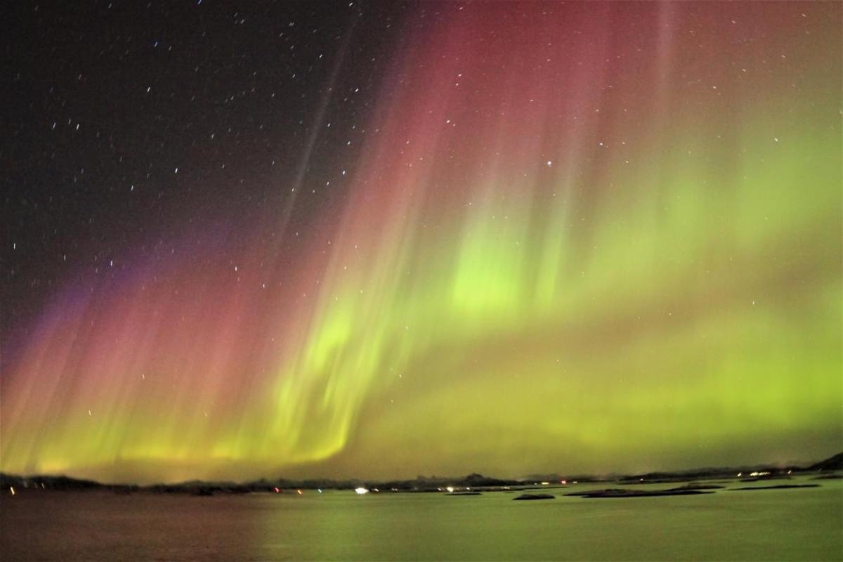 1. Etg I Dampskipsbrygga, Lodingen Havn Exteriér fotografie