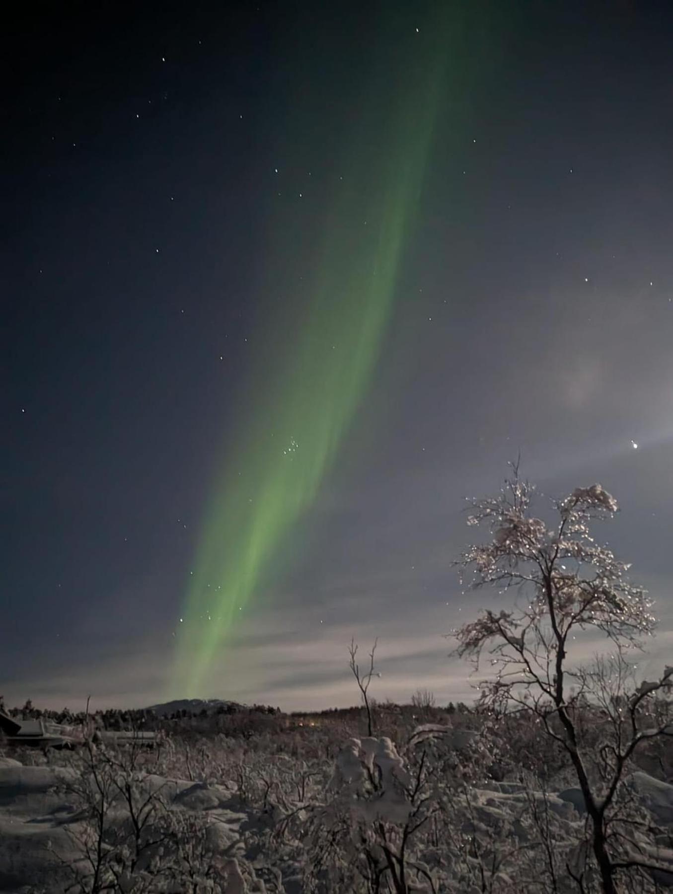 1. Etg I Dampskipsbrygga, Lodingen Havn Exteriér fotografie